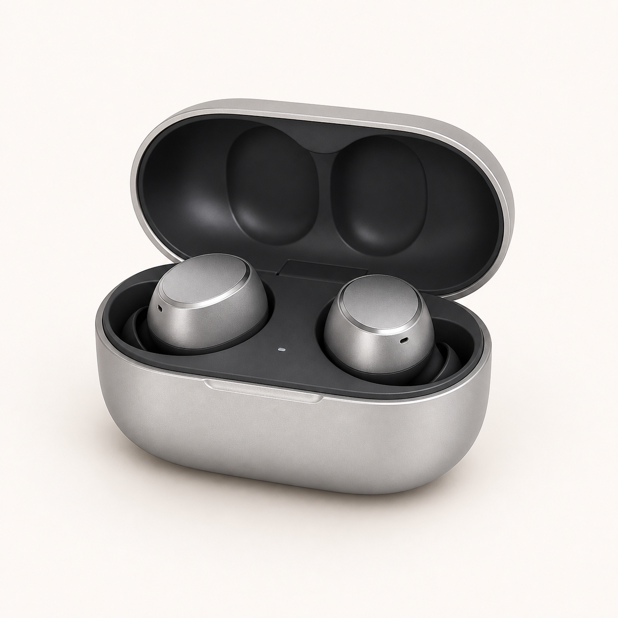 Earphones